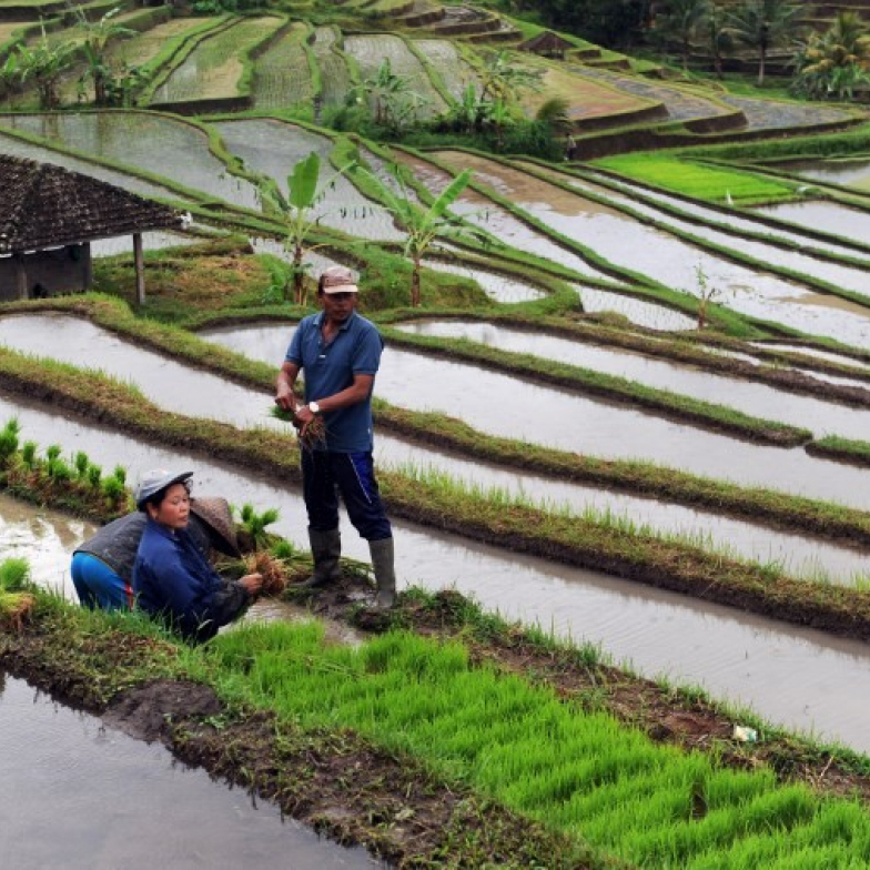 Indonesia